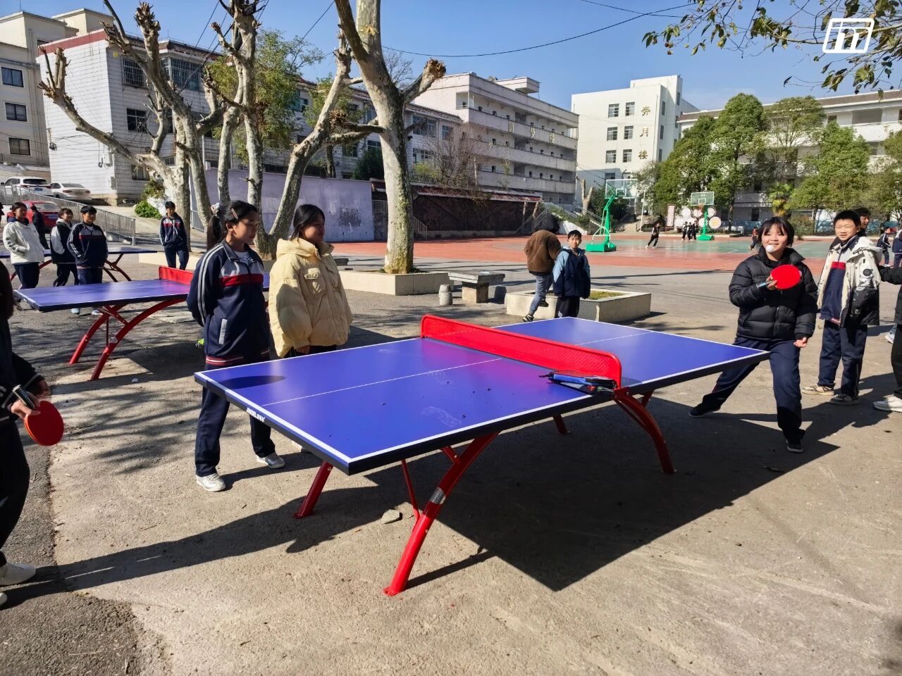 20251128176429846240.jpg 3.jpg